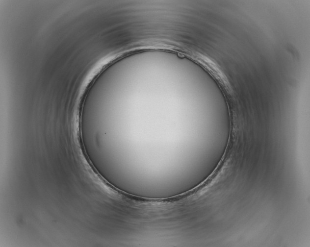 X0000112061188200908041004