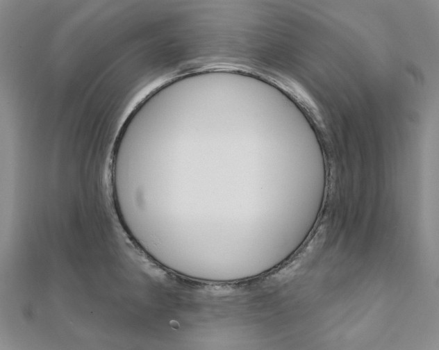 X0000112061190200908041004
