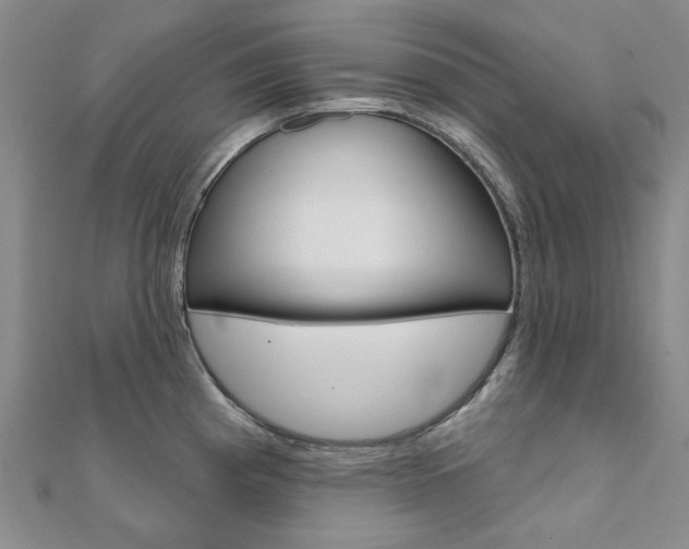 X0000112061193200908041004