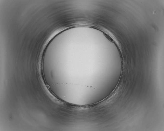 X0000112061195200908041004