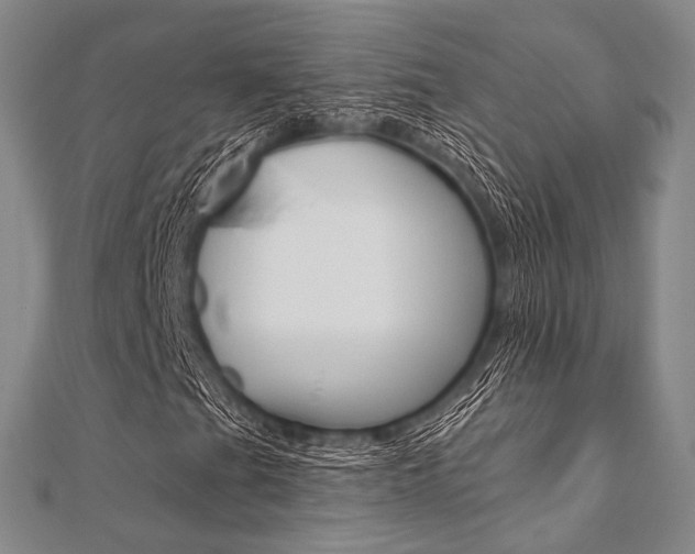 X0000112061201200908041003