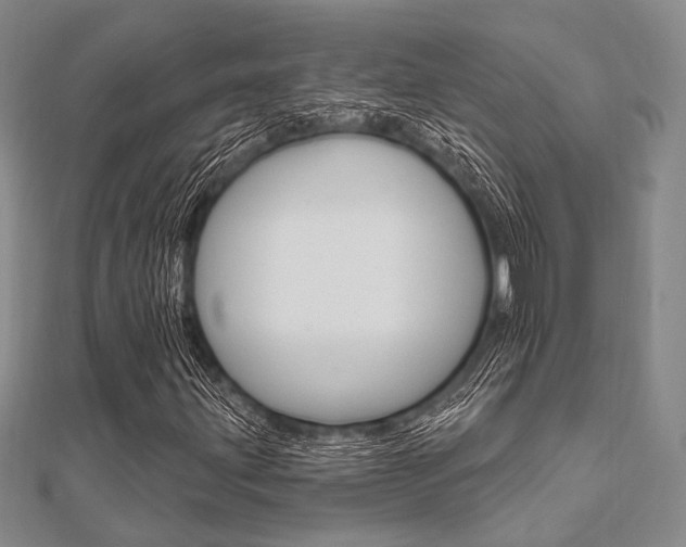 X0000112061203200908041003