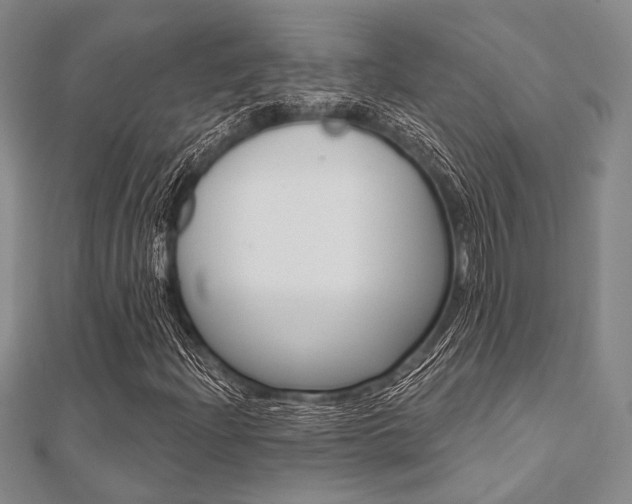 X0000112061204200908041003