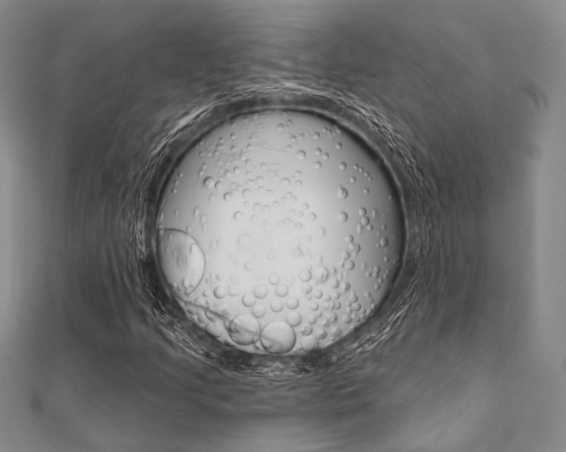 X0000112061205200908041003