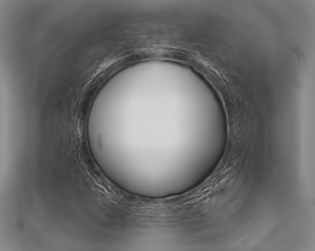 X0000112061206200908041003