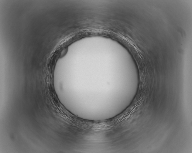 X0000112061207200908041003