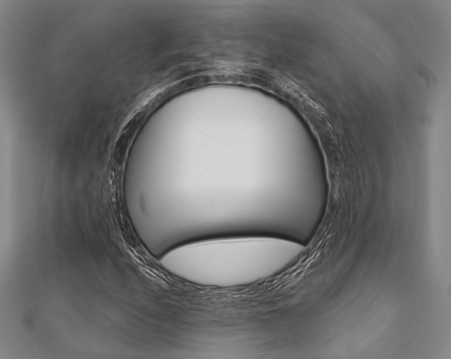 X0000112061208200908041003