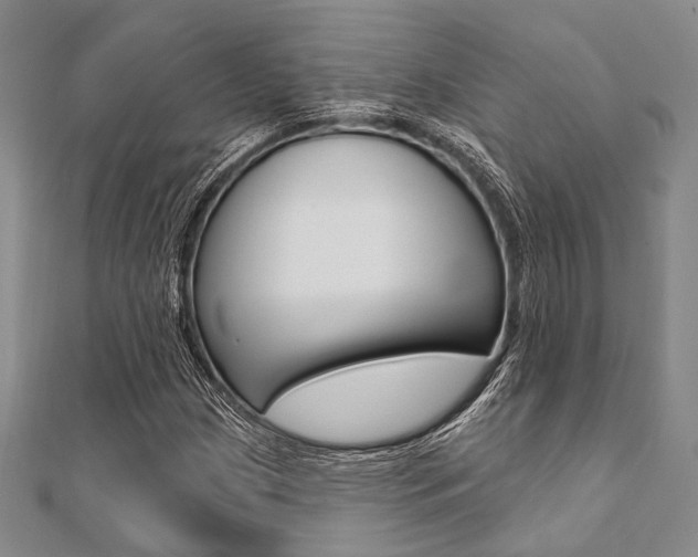 X0000112061209200908041003