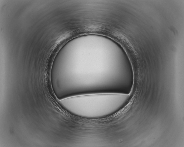 X0000112061210200908041003