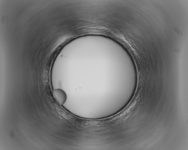 X0000112061211200908041003