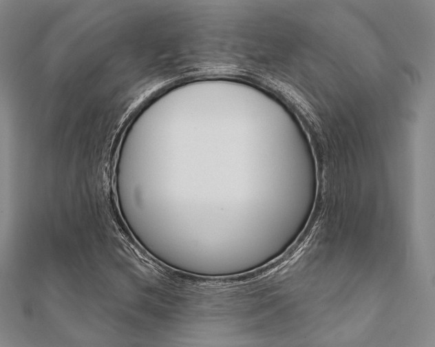 X0000112061212200908041003