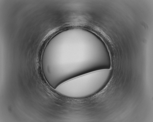 X0000112061213200908041003