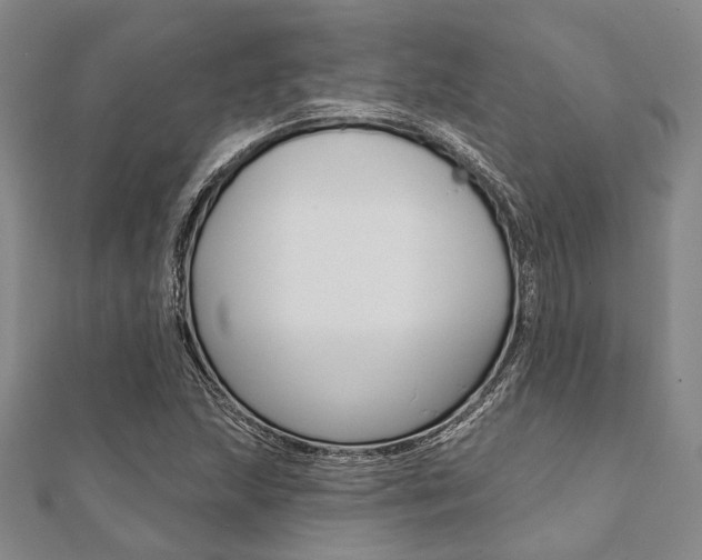 X0000112061215200908041003