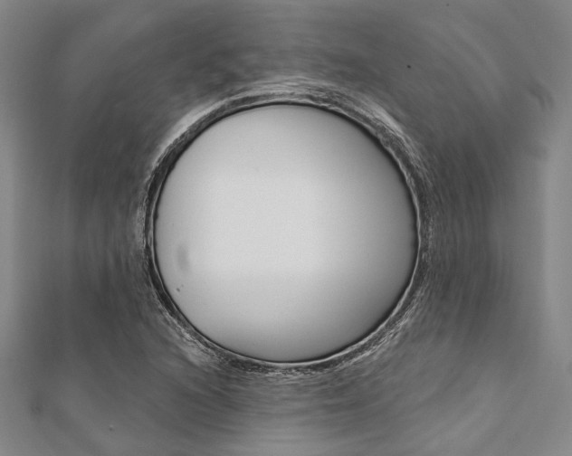 X0000112061216200908041003