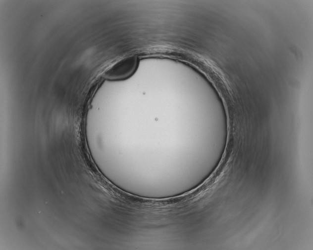 X0000112061217200908041003