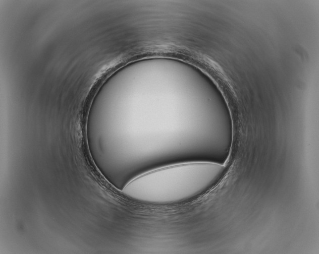 X0000112061218200908041003