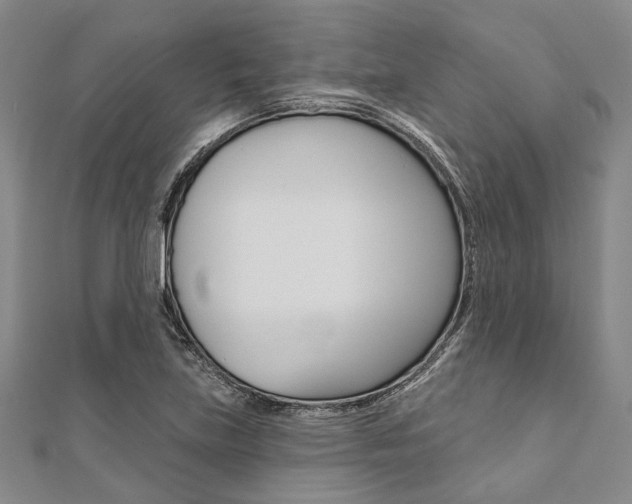 X0000112061219200908041003