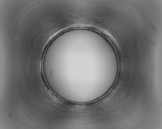 X0000112061220200908041003