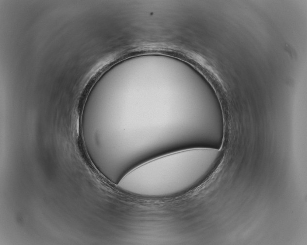 X0000112061221200908041004