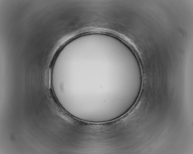 X0000112061223200908041004