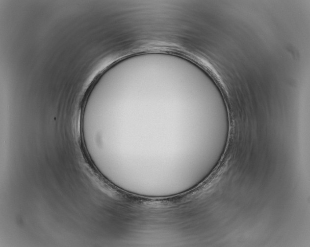 X0000112061227200908041004