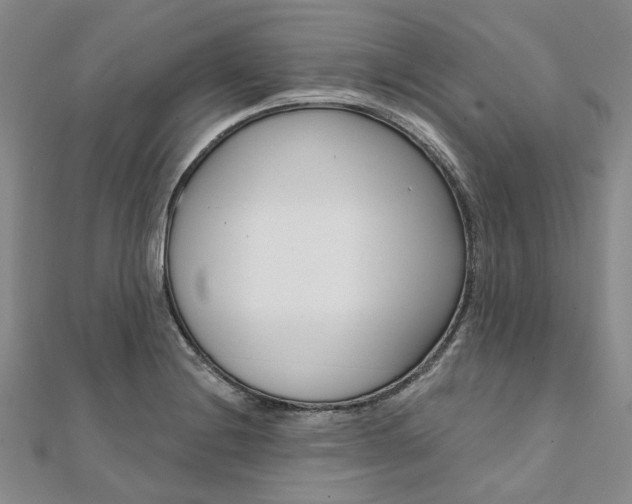 X0000112061228200908041004
