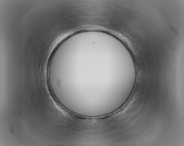 X0000112061231200908041004