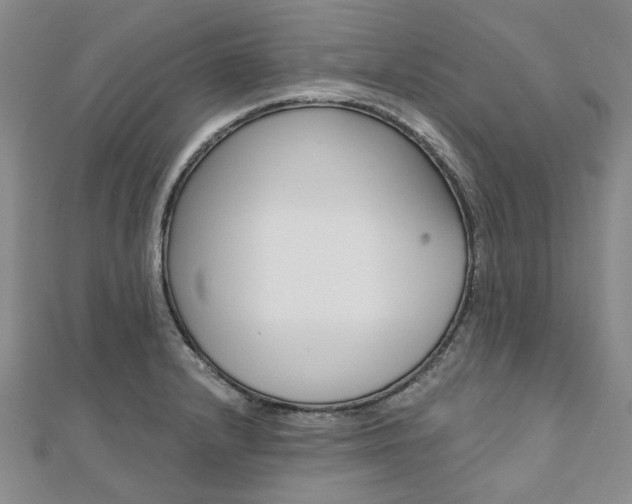 X0000112061232200908041004