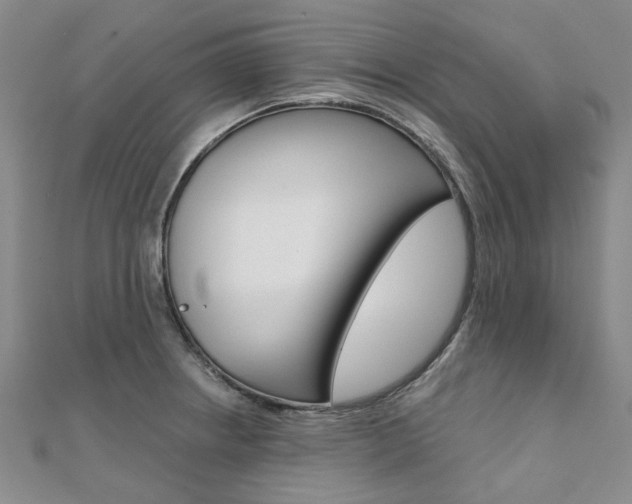 X0000112061234200908041004