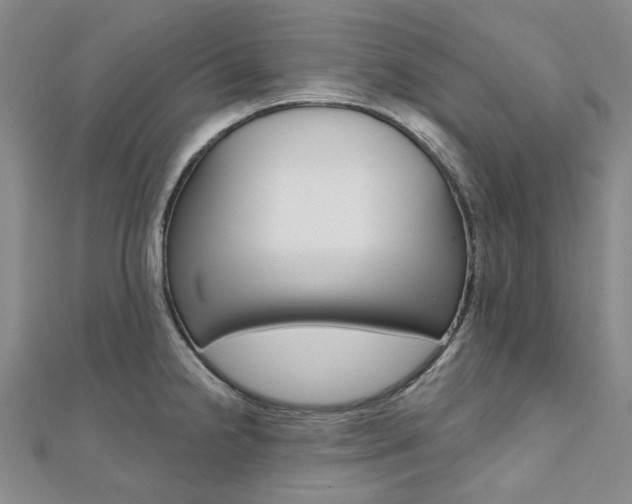 X0000112061238200908041004