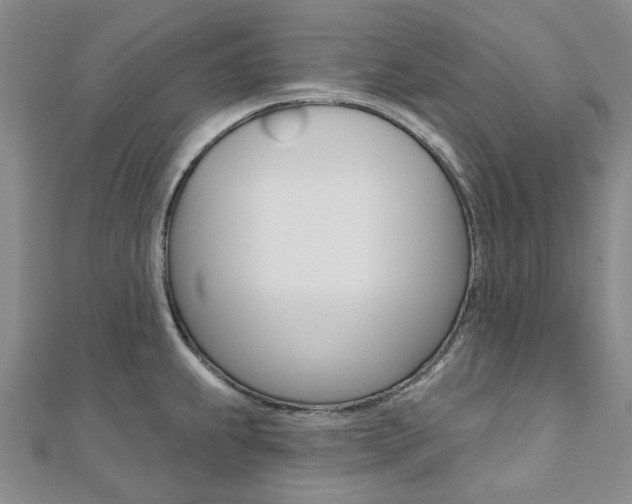 X0000112061239200908041004