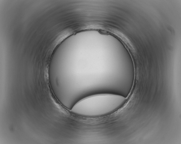 X0000112061241200908041004