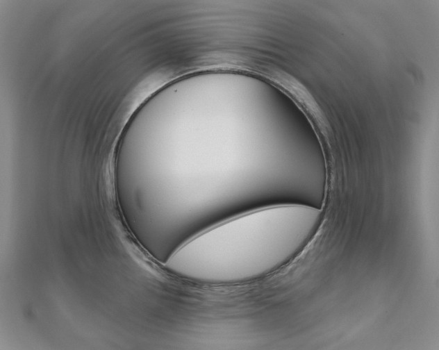 X0000112061242200908041004