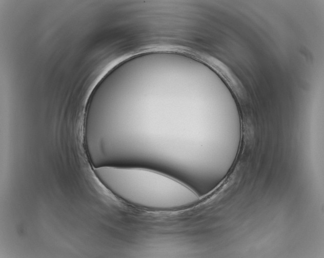X0000112061244200908041004