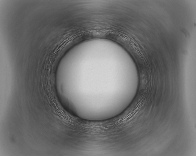 X0000112061249200908041003