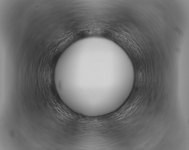 X0000112061250200908041003