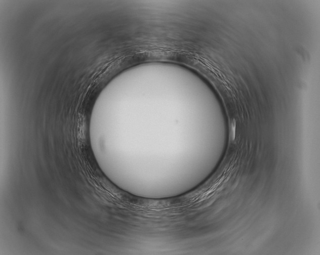 X0000112061251200908041003