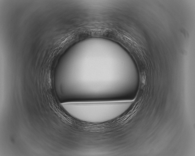 X0000112061252200908041003