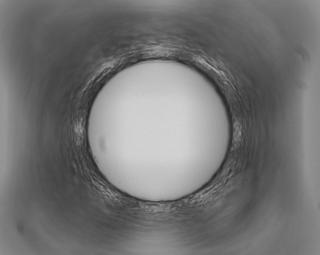 X0000112061254200908041003