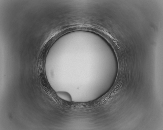 X0000112061255200908041003