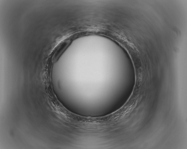 X0000112061256200908041003