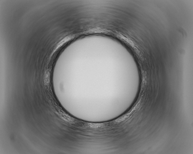 X0000112061258200908041003