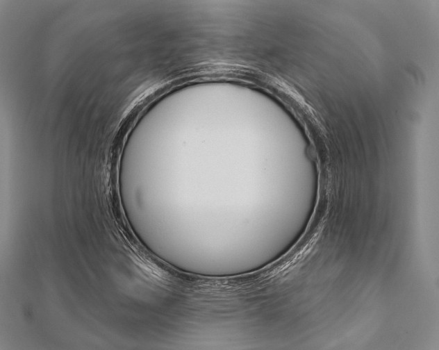 X0000112061259200908041003