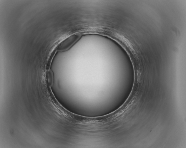 X0000112061260200908041003