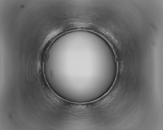 X0000112061261200908041003