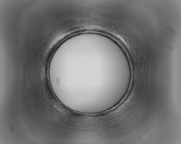 X0000112061263200908041003