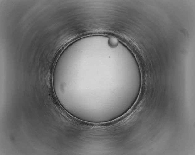 X0000112061265200908041003