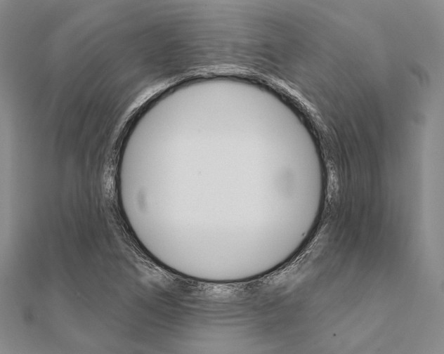 X0000112061266200908041003