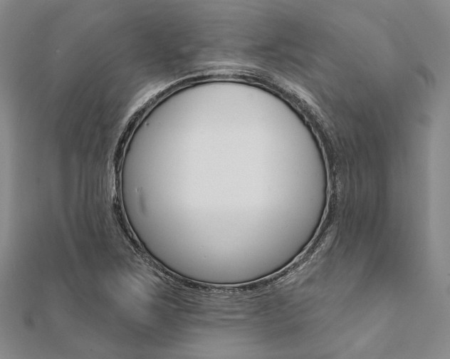 X0000112061267200908041003