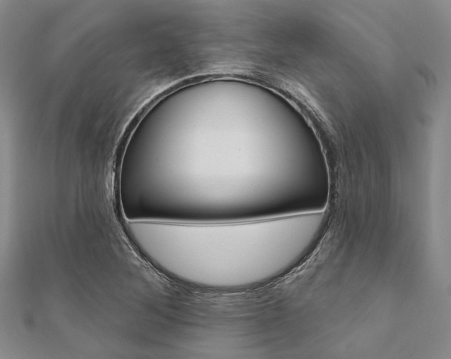 X0000112061268200908041003